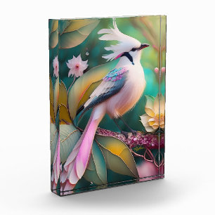 White Crested Blush Tail Jay Fantasy Bird Photo Block