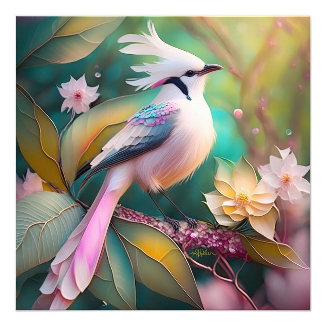 White Crested Blush Tail Jay Fantasy Bird Photo Print (Front)