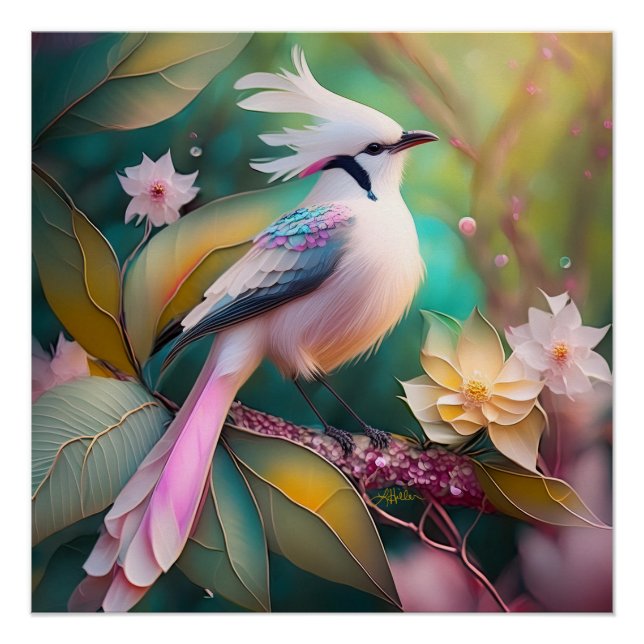 White Crested Blush Tail Jay Fantasy Bird Poster (Front)