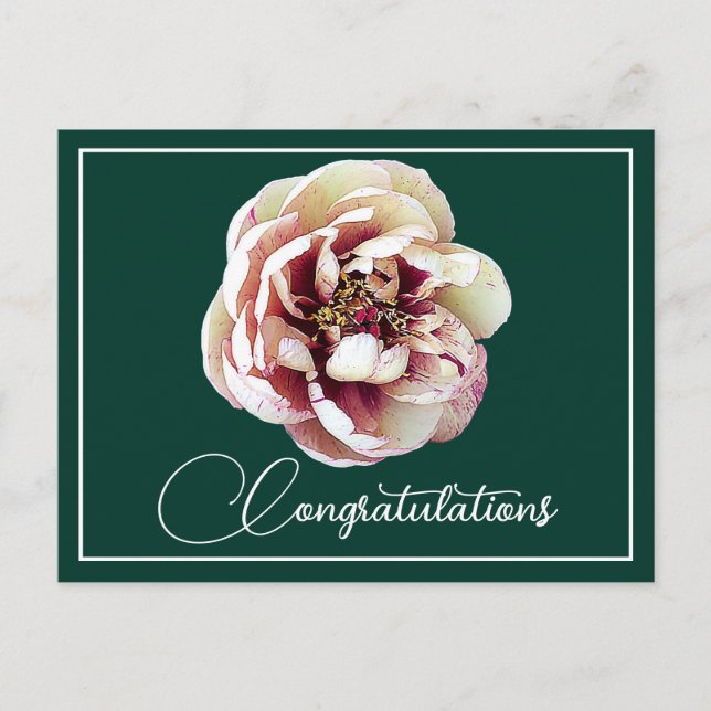 White Crimson Peony Green Backdrop Congratulations Postcard (Front)