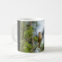 White-crowned Sparrow – Fine Art Bird Photography