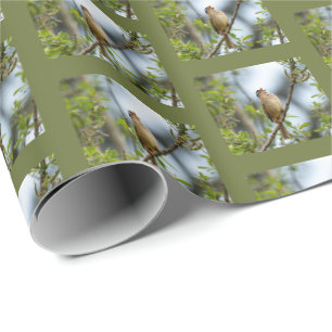 White-crowned Sparrow - Fine Art Bird Photography Wrapping Paper