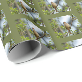 White-crowned Sparrow - Fine Art Bird Photography Wrapping Paper