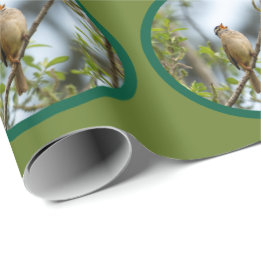 White-crowned Sparrow Holiday Wrapping Paper