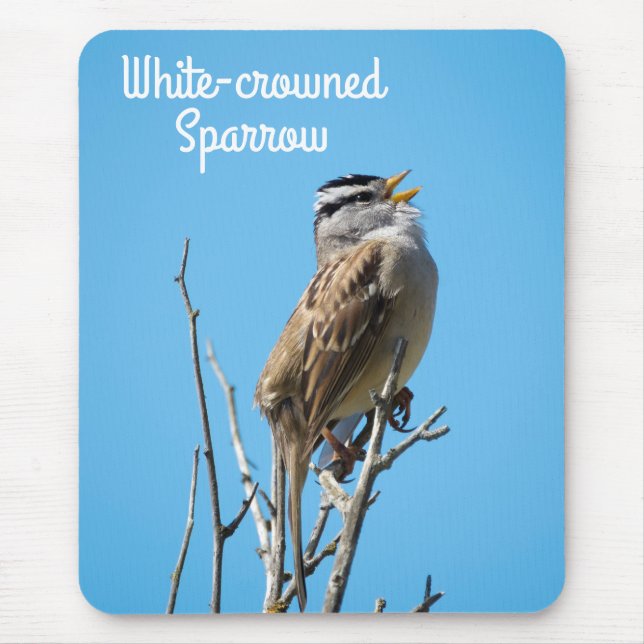 White-crowned Sparrow Mouse Pad (Front)