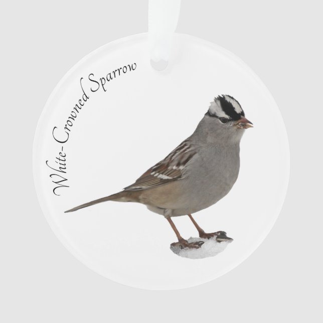 White-Crowned Sparrow Ornament (Front)