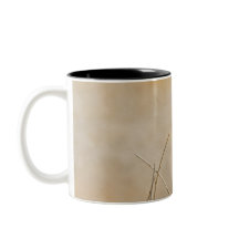 White-crowned Sparrow