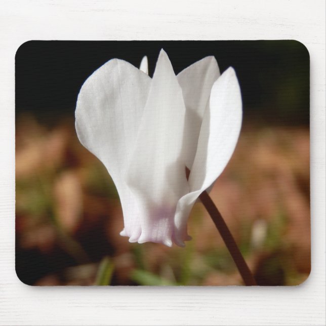 White Cyclamen Mouse Mat (Front)