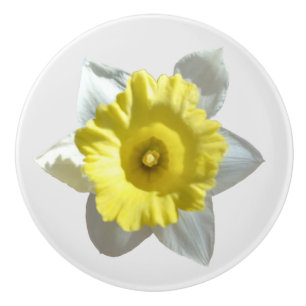 White Daffodil Ceramic Knob