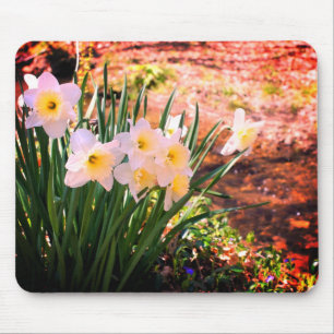 White Daffodil Flowers By Brook Mouse Pad