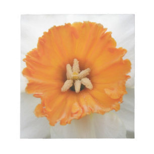 White Daffodil Notepad