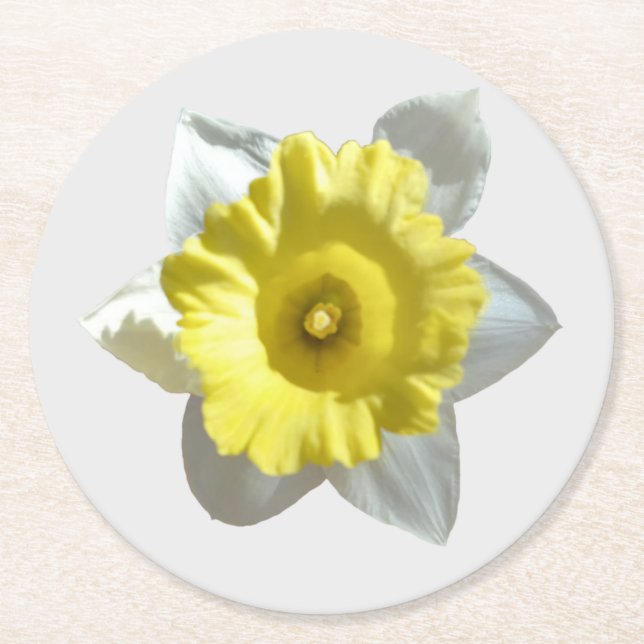 White Daffodil Paper Coaster (Front)