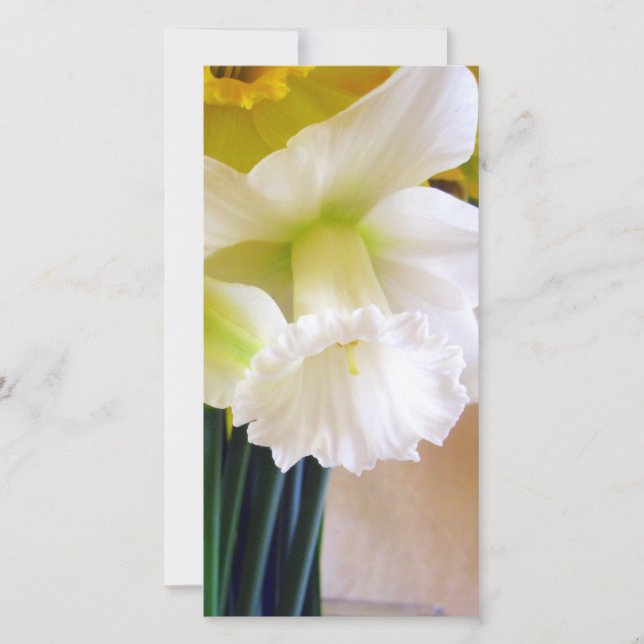White Daffodil photocard (Front)