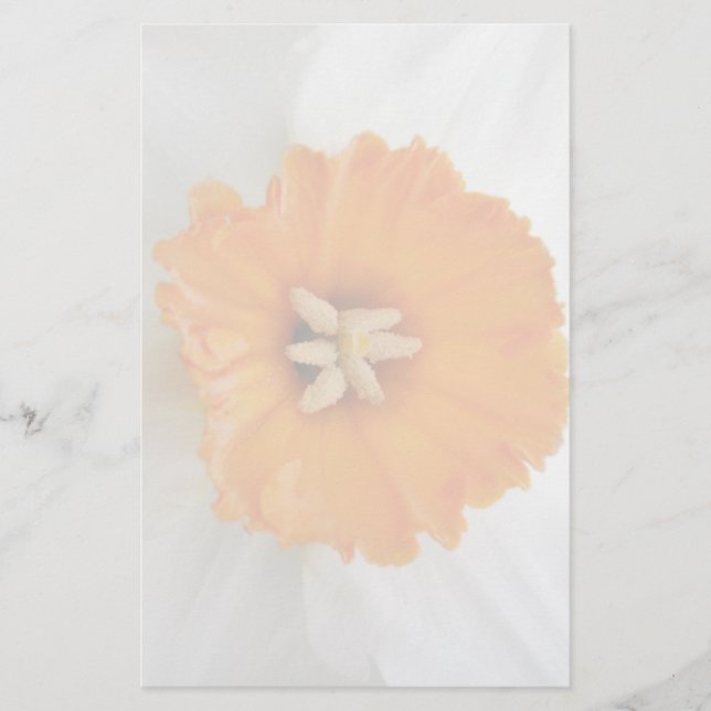White Daffodil Stationery (Front)