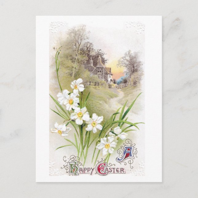 White Daffodils Vintage Easter Holiday Postcard (Front)