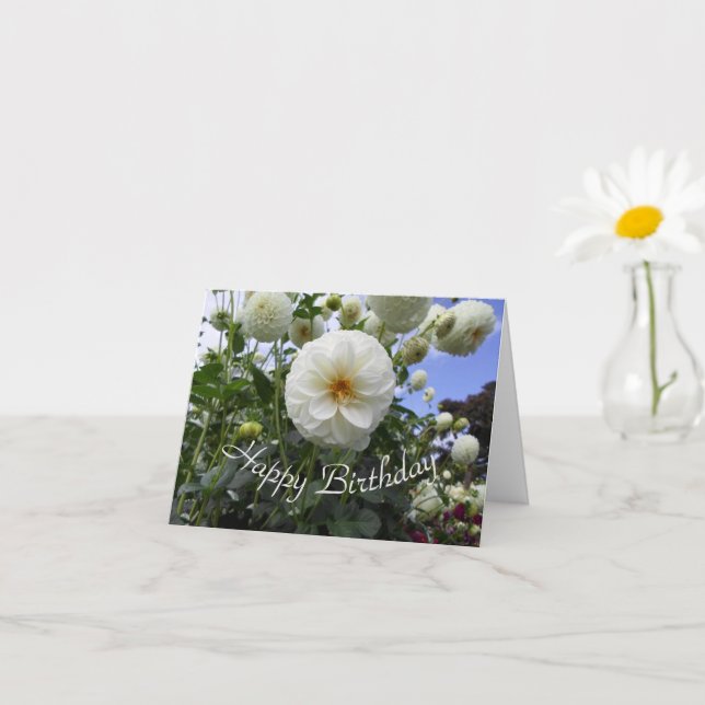 White Dahlia Birthday Day Card (Small Plant)