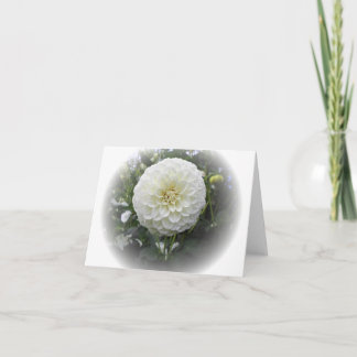 White Dahlia Flower Card