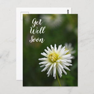 White Dahlia Flower Get Well Soon Postcard