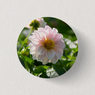 White dahlia in the garden photo 3 cm round badge