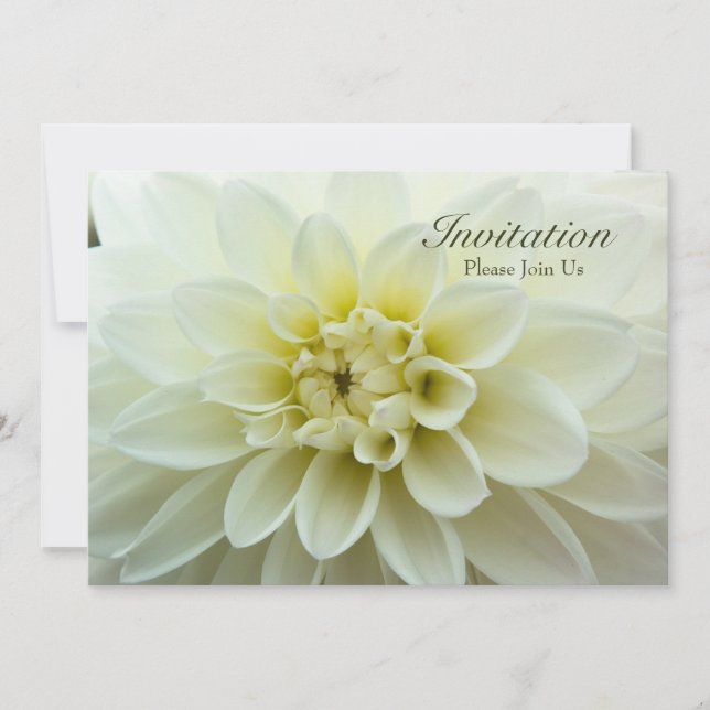 White Dahlia • Rehearsal Dinner Invitation (Front)