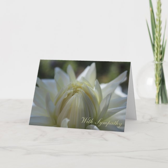 White Dahlia Sympathy Card (Front)