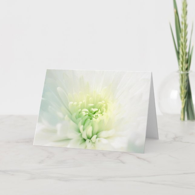 White Dahlia With Green Centre Any Occasion Card (Front)