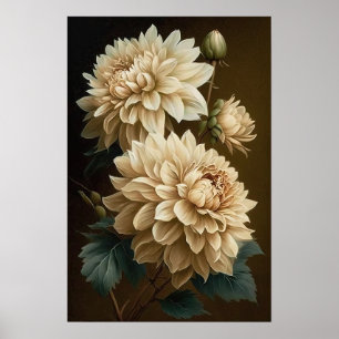 White Dahlias Flower Art Print Poster