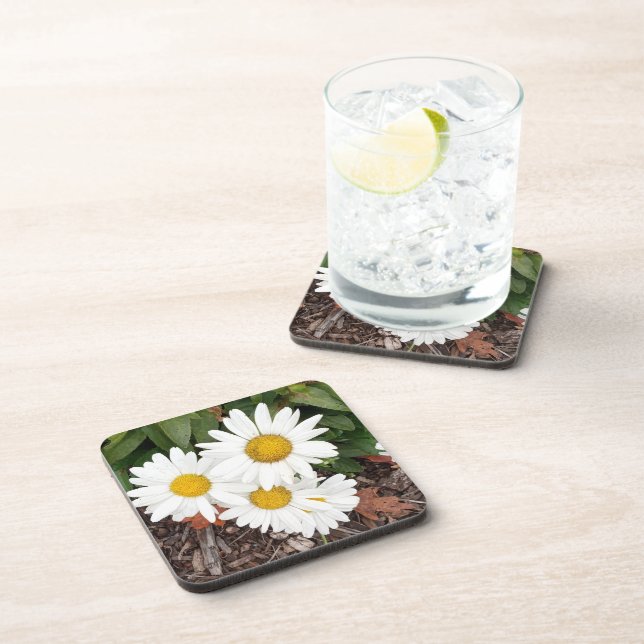 White Daises Coasters (Right Side)