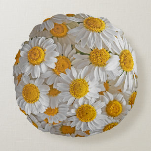 White Daisies: Beautiful Floral Background Round Cushion