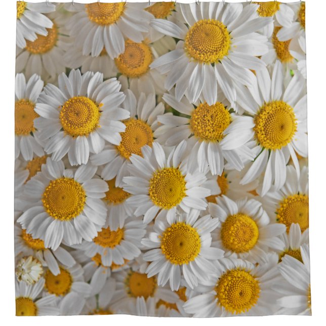 White Daisies: Beautiful Floral Background Shower Curtain (Front)