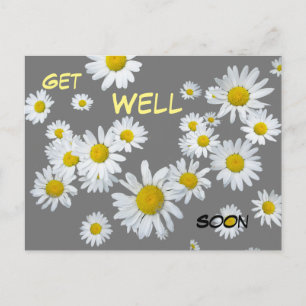 White Daisies Cust. Colour 2 Get Well Soon Postcar Postcard