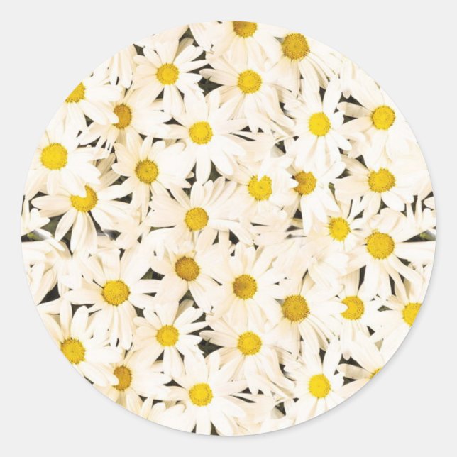 White Daisies Custom Blank Trendy Elegant Template Classic Round Sticker (Front)