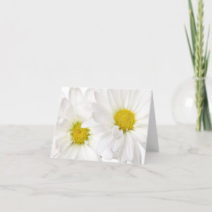 White Daisies - Customised Daisy Flower Template