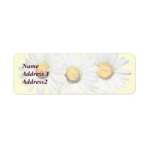 White Daisies in the Rain Save the Date