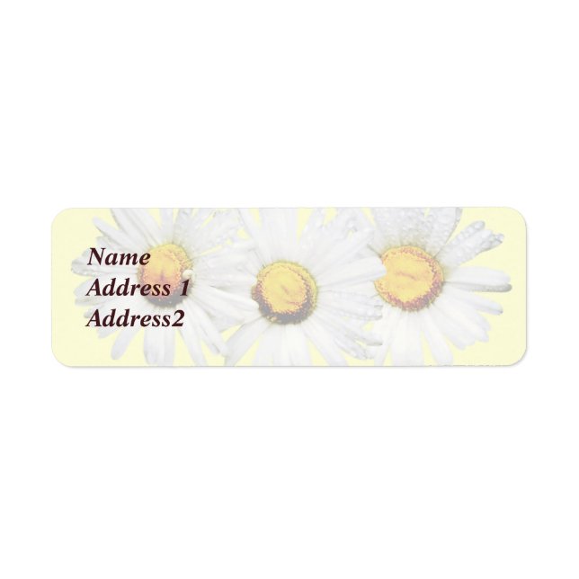 White Daisies in the Rain Save the Date (Front)