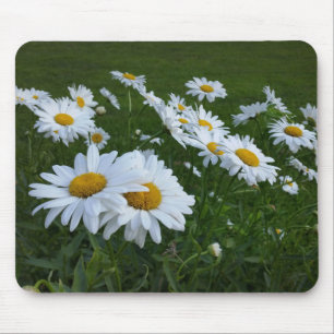 white daisies mouse pad