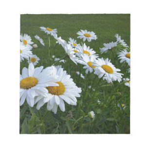 white daisies notepad