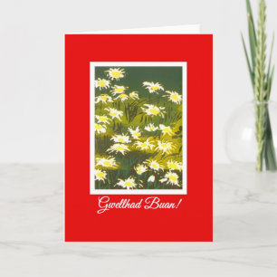 White Daisies on Red Get Well Card: Welsh Greeting Card