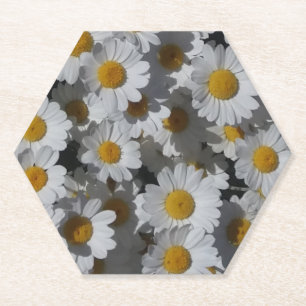 White Daisies Paper Coaster