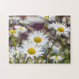 White daisies puzzle