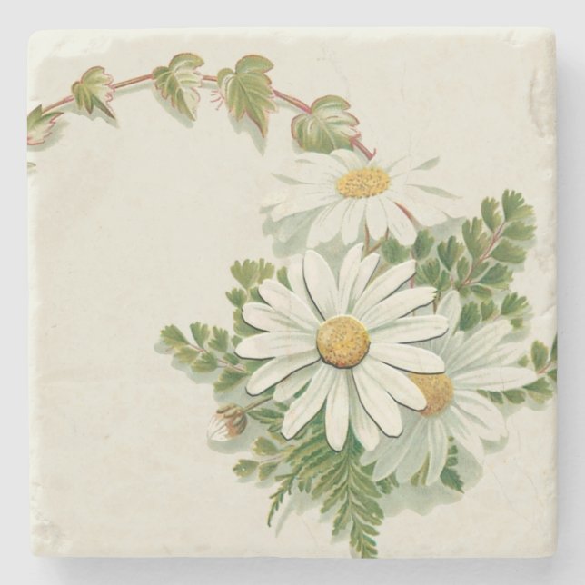White Daisies Stone Coaster (Front)