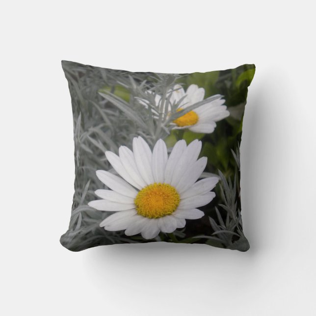 White Daisies (w/Gold) Throw Pillow 2 sided (Front)