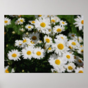 White Daisies Watercolor Poster