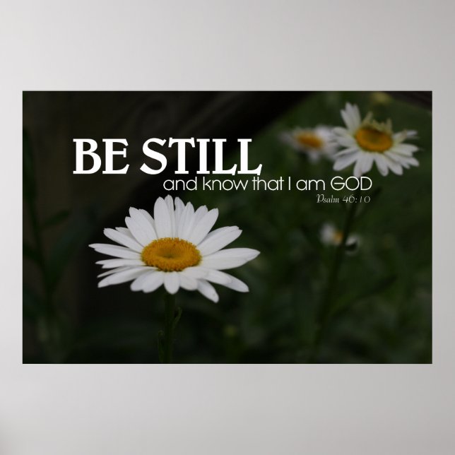 White Daisies with Optional Bible Verse Poster (Front)