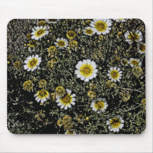 WHITE DAISIES, YELLOW CENTER/DIGITAL EFFECTS/PHOTO MOUSE PAD