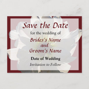 White Daisy Backlit Save the Date Announcement Postcard
