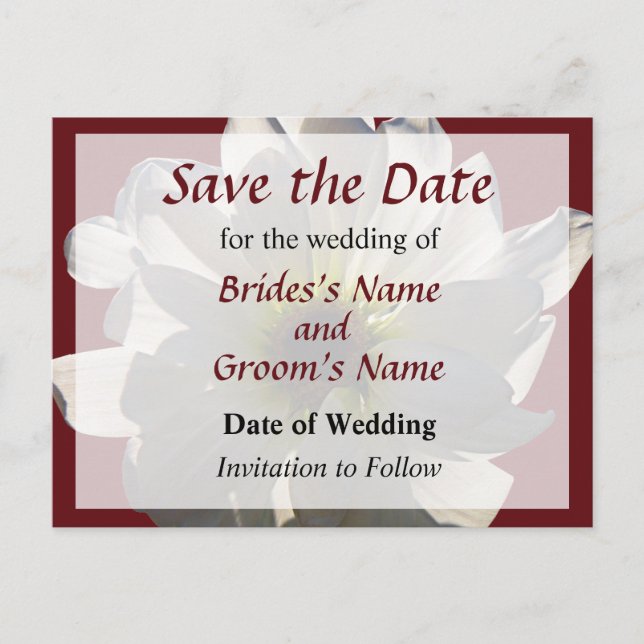 White Daisy Backlit Save the Date Announcement Postcard (Front)