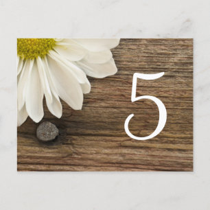 White Daisy Barn Wood Country Wedding Table Number Postcard