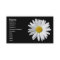 White Daisy Business Card