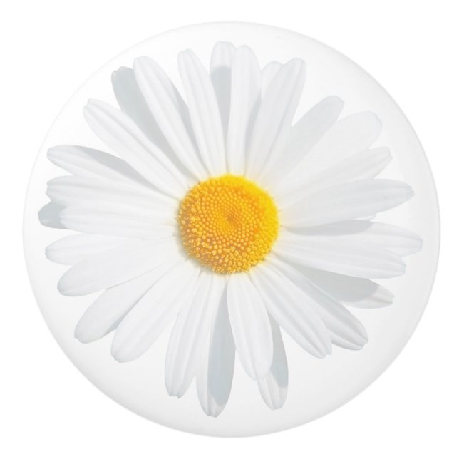 white daisy ceramic knob (Front)